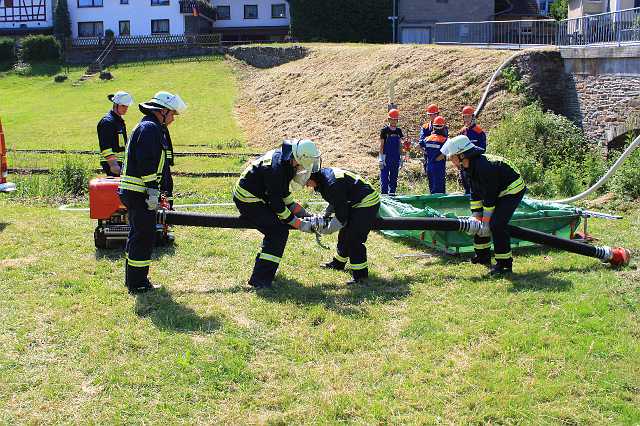 20100627-110922-Canon EOS 500D.jpg